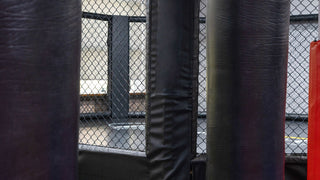 The Gracie Diet: Your Complete Guide to Better Health Through Food Combining