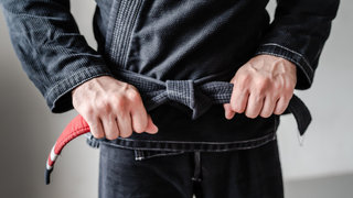 Martial Arts Training at a Royce Gracie Academy